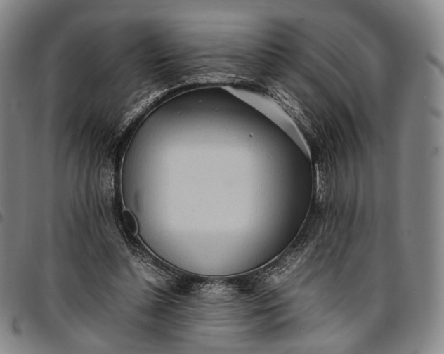 X0000096670348200802191334