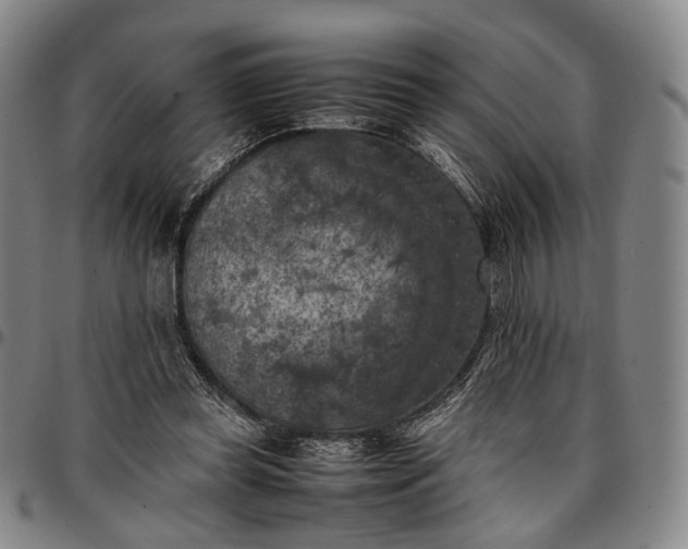 X0000096670349200802191334