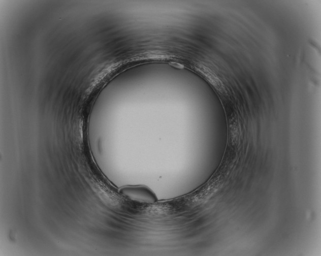 X0000096670350200802191334