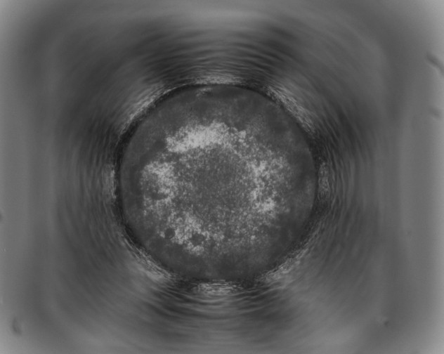 X0000096670351200802191334