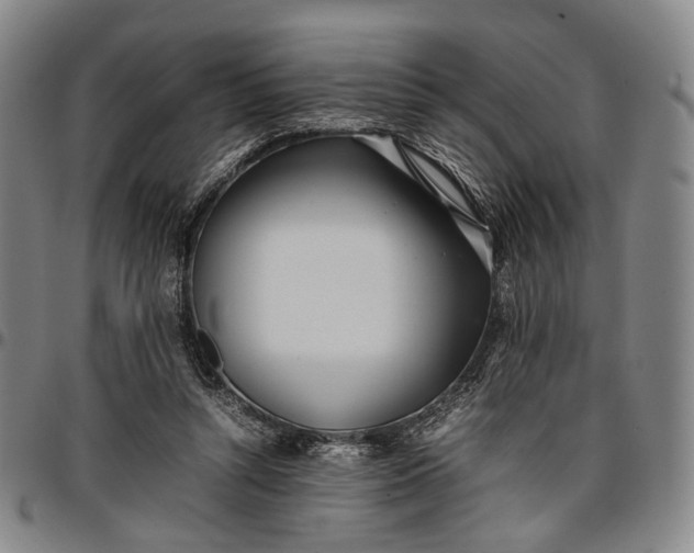 X0000096670352200802191334