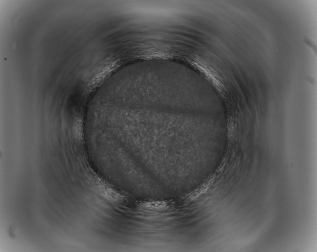 X0000096670353200802191334