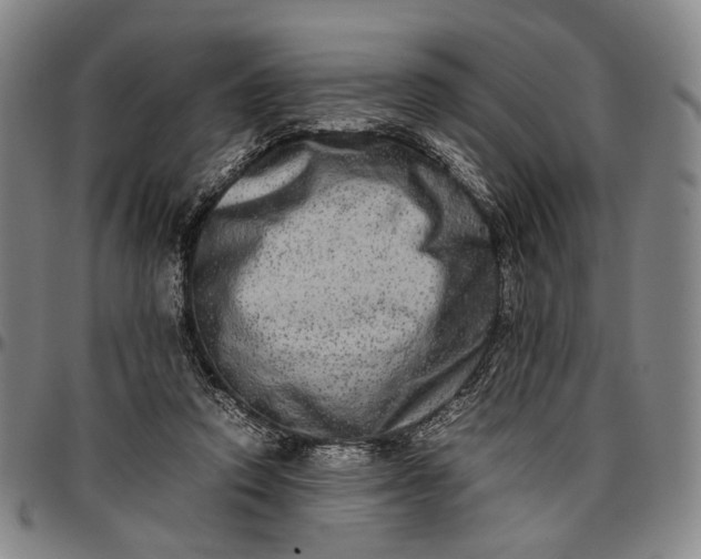 X0000096670354200802191334