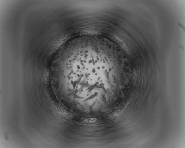 X0000096670355200802191334