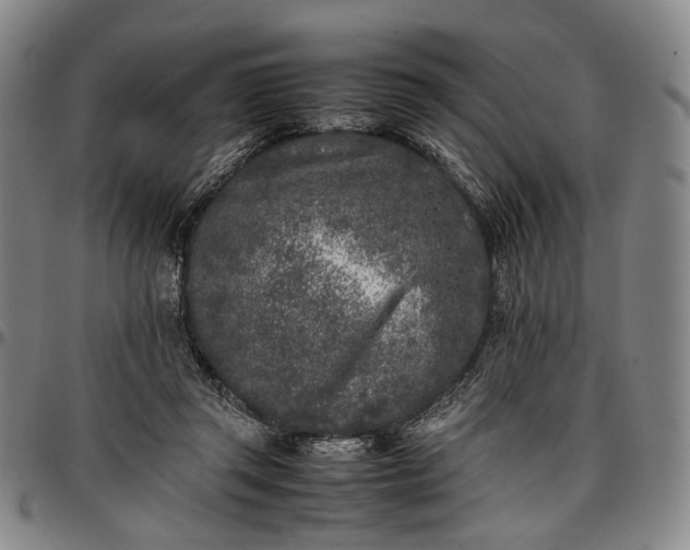 X0000096670357200802191334