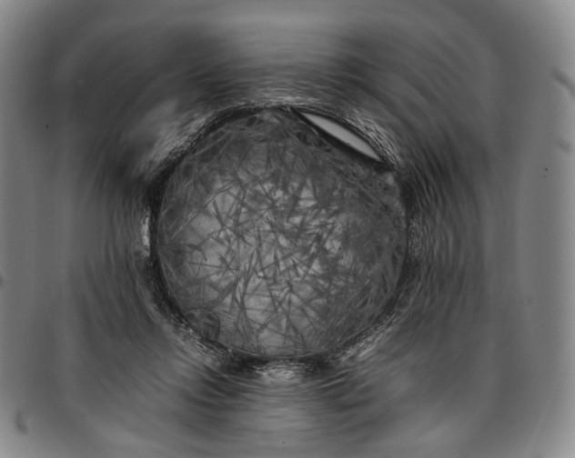 X0000096670358200802191334
