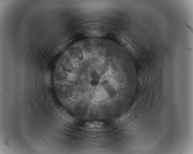 X0000096670359200802191334