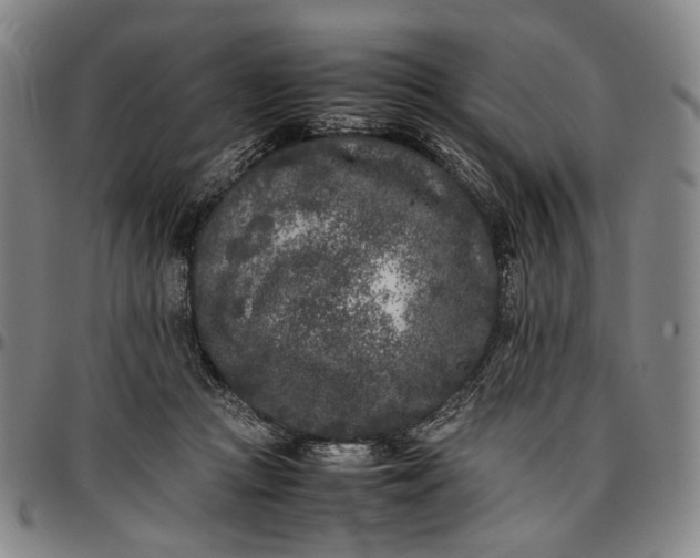 X0000096670361200802191334