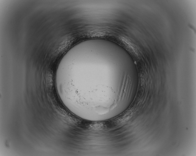X0000096670362200802191334