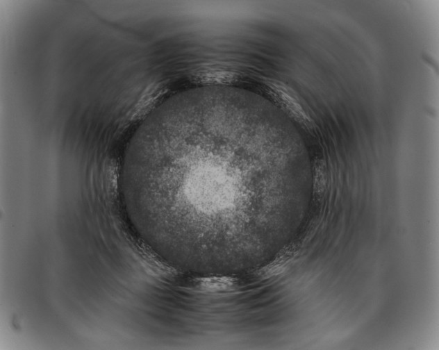 X0000096670363200802191334