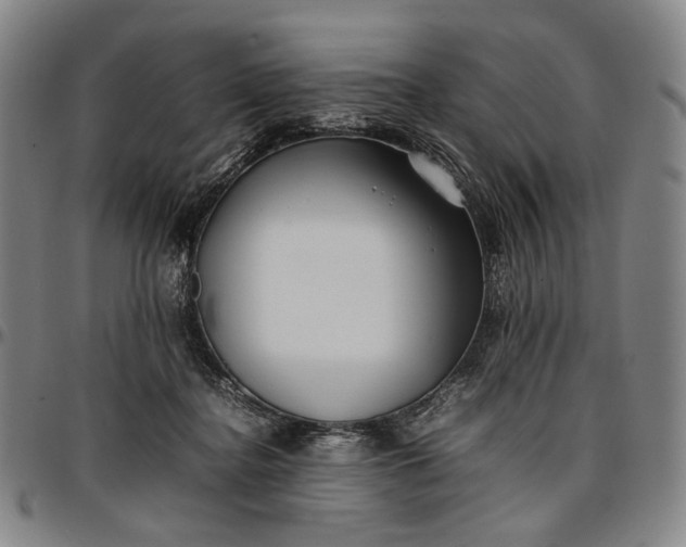 X0000096670364200802191334