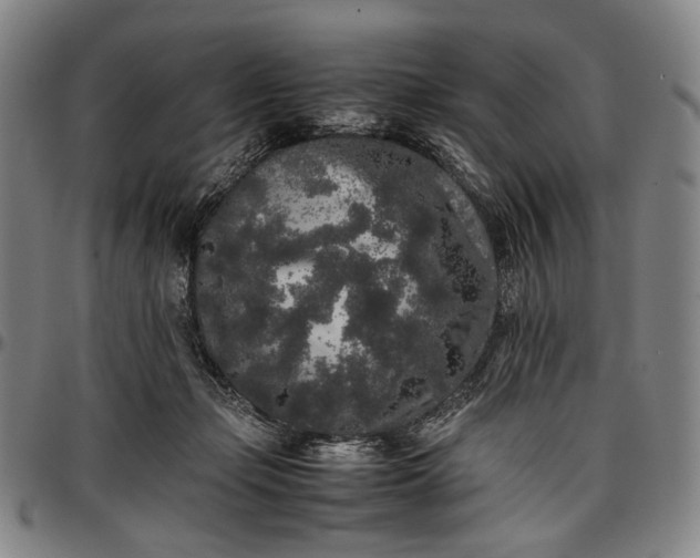 X0000096670365200802191335