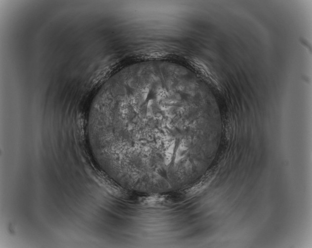 X0000096670366200802191335