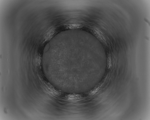X0000096670367200802191335