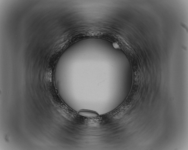 X0000096670368200802191335