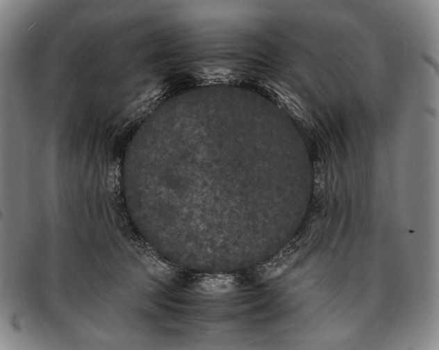 X0000096670369200802191335