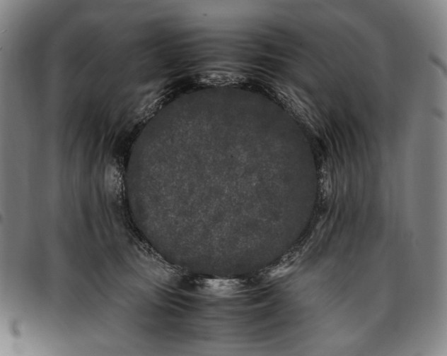 X0000096670371200802191335