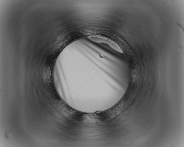 X0000096670372200802191335
