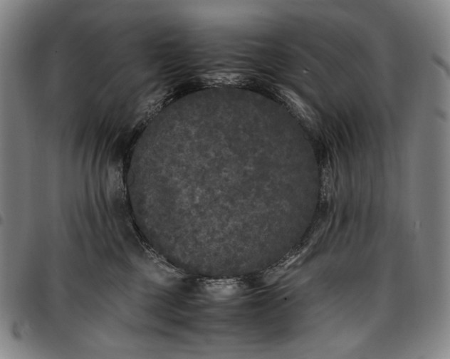 X0000096670377200802191335