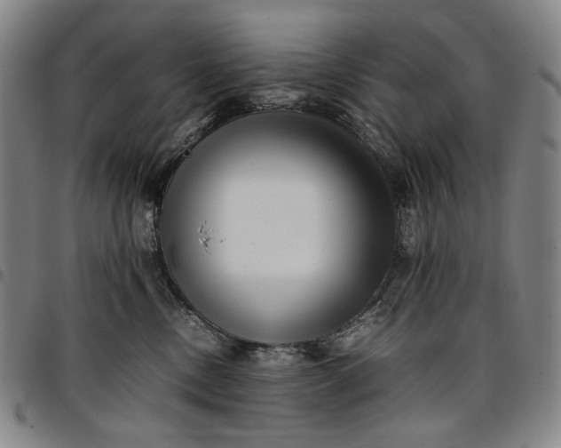 X0000096670378200802191335
