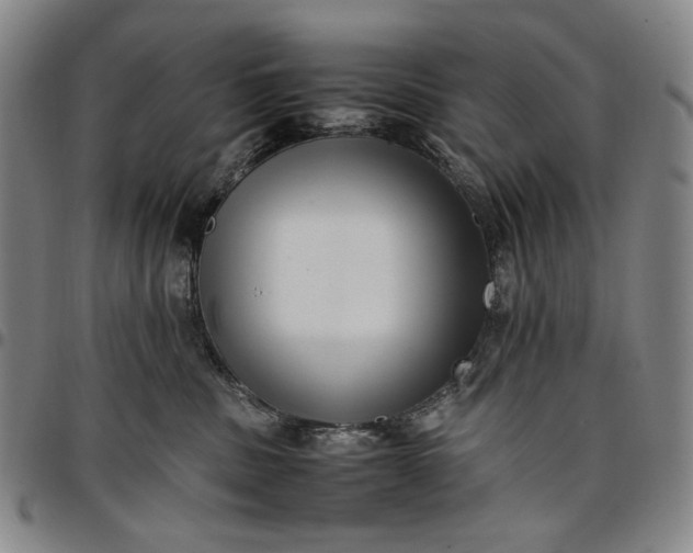 X0000096670379200802191335