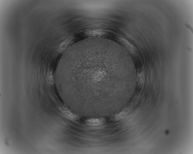 X0000096670381200802191335