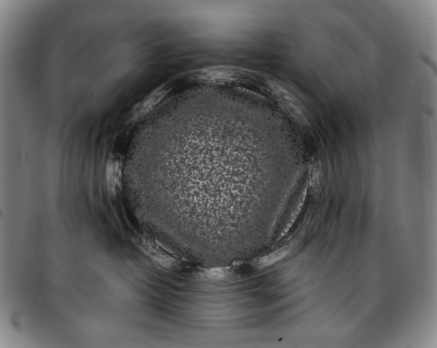 X0000096670382200802191335