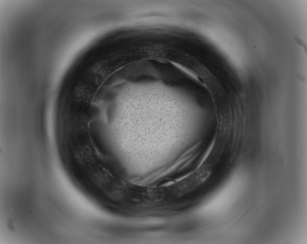 X0000096670383200802191335