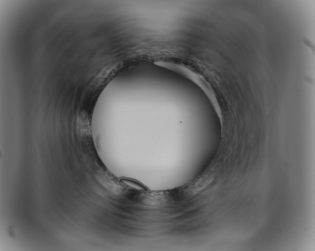 X0000096670384200802191335
