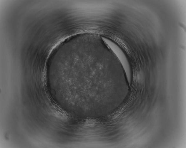X0000096670388200802191334