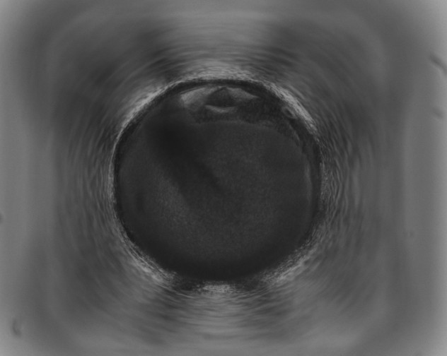 X0000096670391200802191334