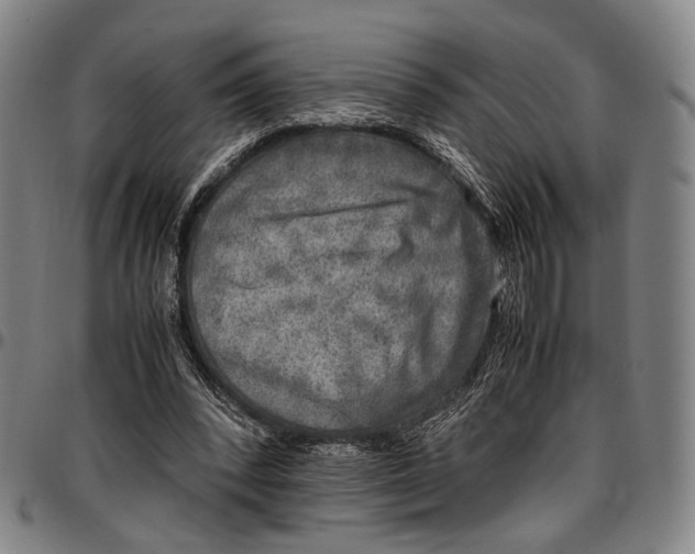 X0000096670392200802191334