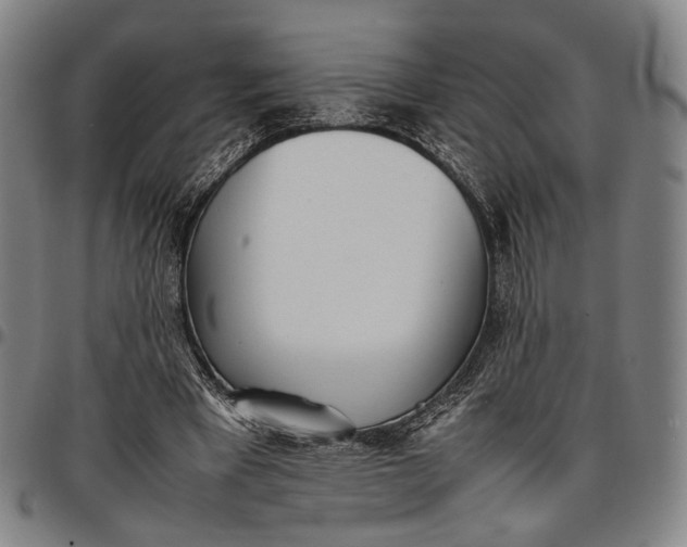 X0000096670393200802191334