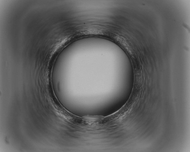 X0000096670395200802191334