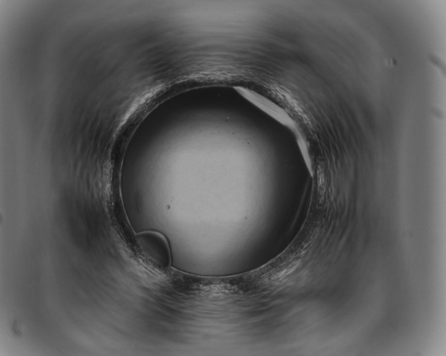 X0000096670396200802191334