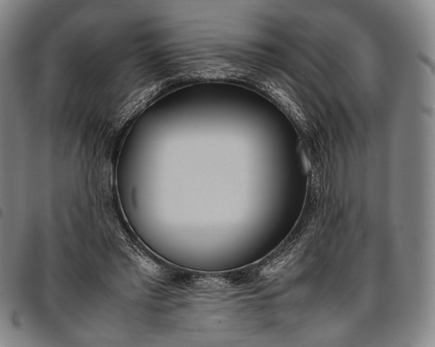 X0000096670397200802191334