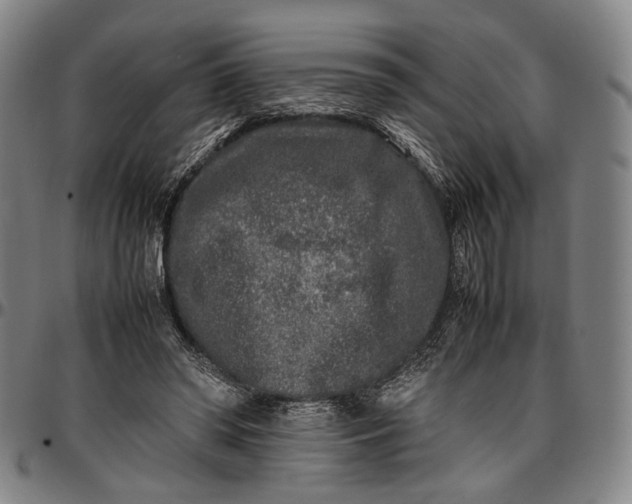 X0000096670398200802191334