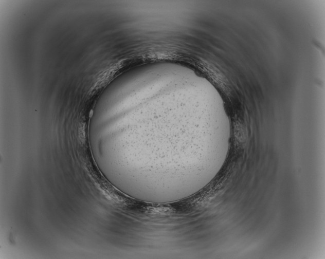 X0000096670401200802191334