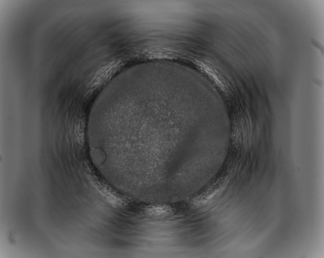 X0000096670402200802191334