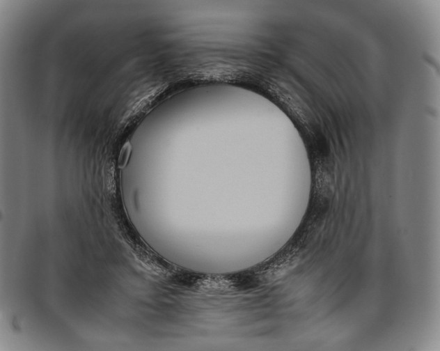 X0000096670403200802191334