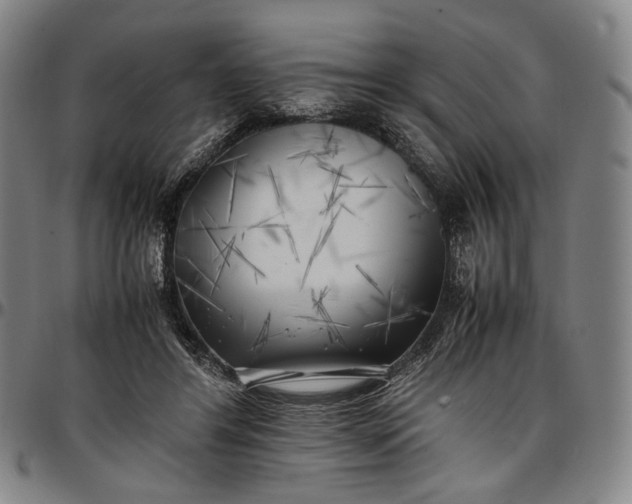 X0000096670404200802191334