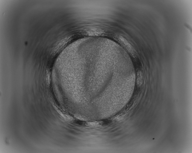 X0000096670405200802191334