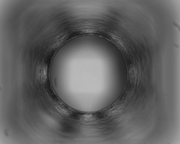 X0000096670406200802191334