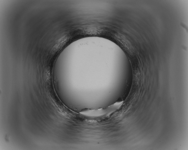 X0000096670407200802191334