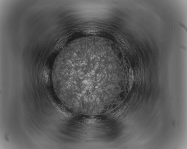 X0000096670408200802191334