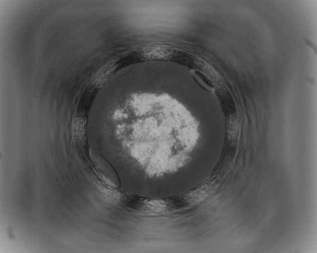 X0000096670409200802191334