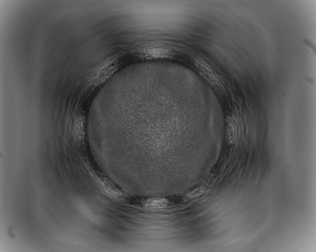 X0000096670410200802191334