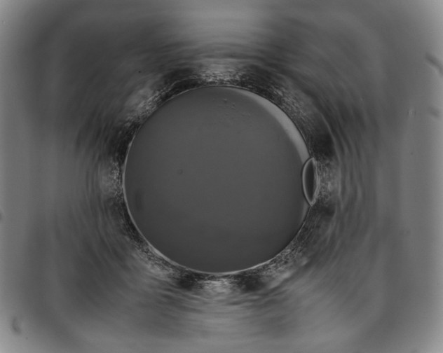 X0000096670411200802191334