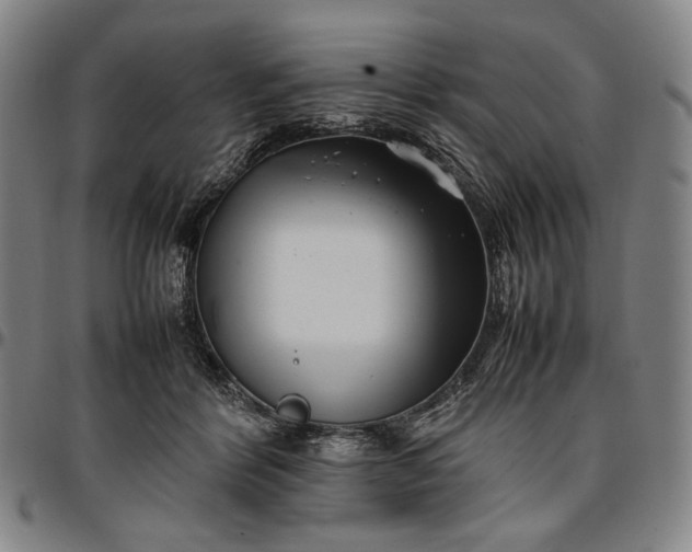 X0000096670412200802191334