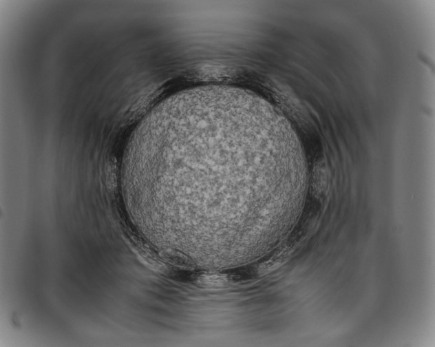 X0000096670413200802191334